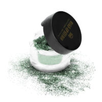 Make-up Studio Shiny Effects
